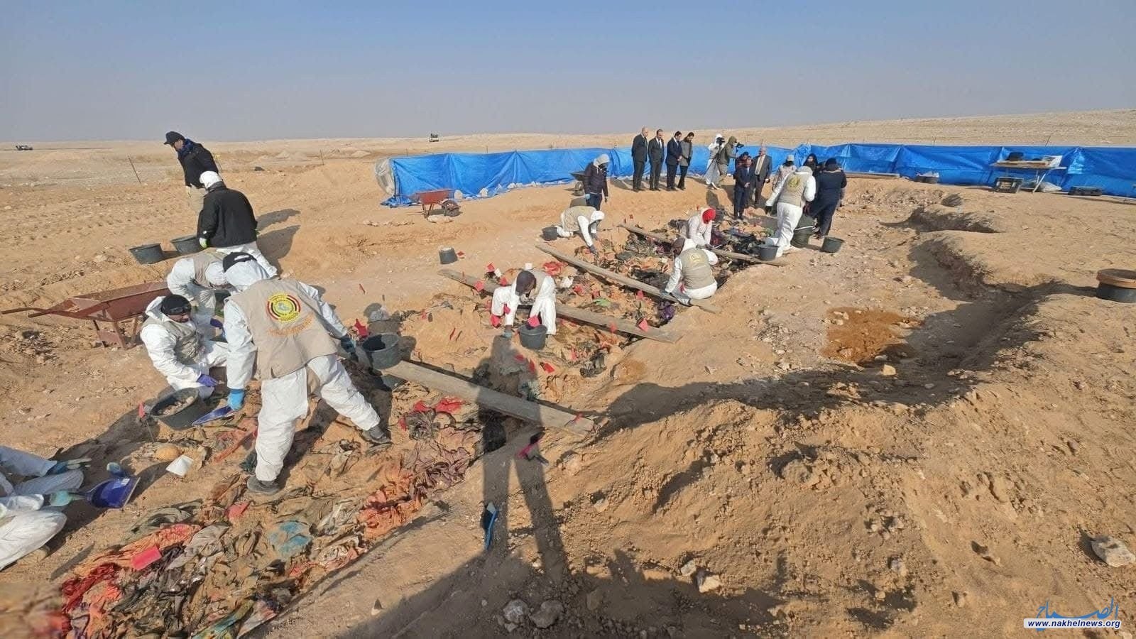 { النخيل } تتابع تُوثق اعترافات المجرم {الحجاج}